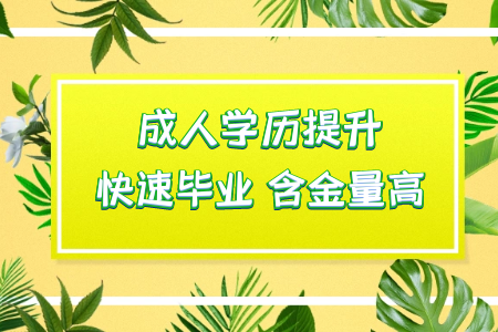 6個(gè)不用加班統(tǒng)考專升本的專業(yè)并且畢業(yè)之后還工作穩(wěn)定