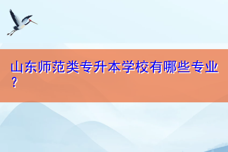 山東師范類專升本學(xué)校有哪些專業(yè)？