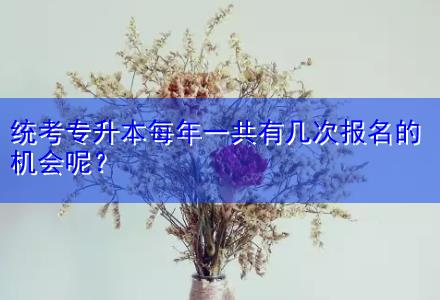 統(tǒng)考專升本每年一共有幾次報名的機會呢？