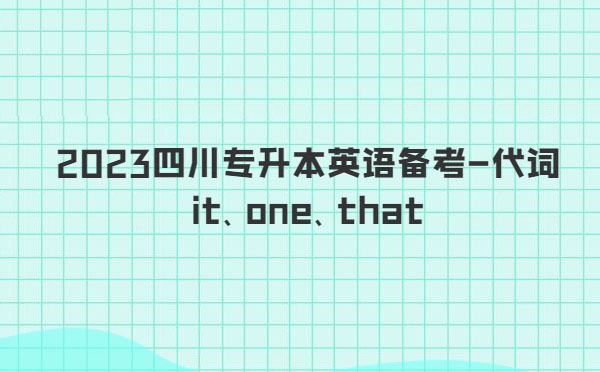 2023四川專升本英語備考-代詞it、one、that