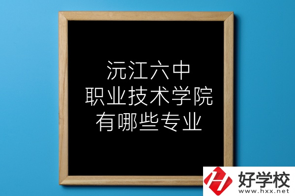 湖南沅江六中職業(yè)技術(shù)學(xué)院有哪些專業(yè)？