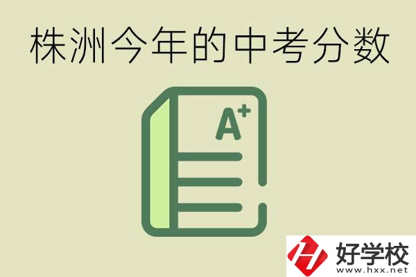 株洲今年中考多少分能上高中？沒考上有什么選擇？