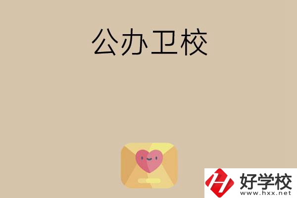 想在湖南上公辦衛(wèi)校？這所學(xué)校值得一看