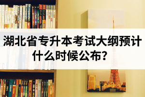 湖北省專升本考試大綱預(yù)計什么時候公布？現(xiàn)階段怎么備考比較好？