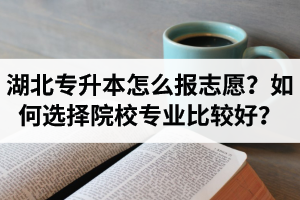 湖北省專升本怎么報志愿？如何選擇填報院校專業(yè)比較好？