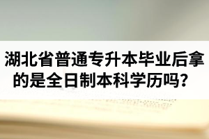 湖北省普通專升本畢業(yè)后拿的是全日制本科學(xué)歷嗎？