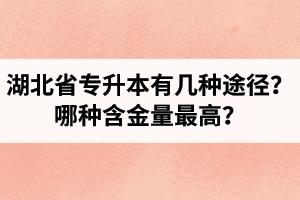 湖北省專升本有幾種途徑？哪種含金量最高？