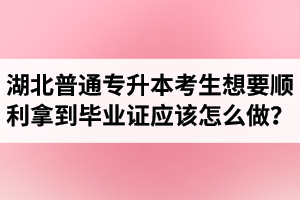 湖北普通專升本考生想要順利拿到畢業(yè)證應(yīng)該怎么做？