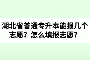 湖北省普通專升本能報幾個志愿？怎么填報志愿？