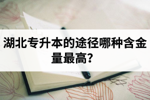 湖北普通專升本英譯漢段落翻譯分析應(yīng)該怎么做？