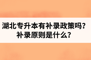 湖北專升本有補錄政策嗎？補錄原則是什么？