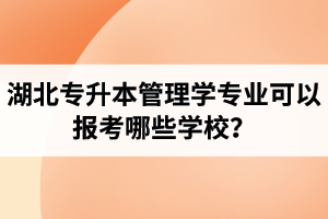 湖北專升本管理學(xué)專業(yè)可以報(bào)考哪些學(xué)校？屬于管理學(xué)的專業(yè)有哪些？