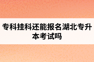 專科掛科還能報名湖北專升本考試嗎？在哪里能獲取最新的專升本資訊？