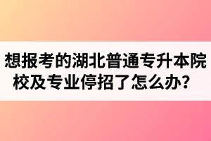 想報考的湖北普通專升本院校及專業(yè)停招了怎么辦？