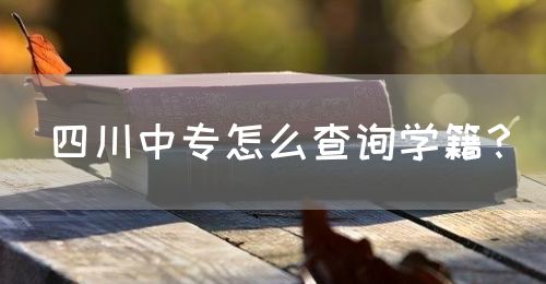 四川中專怎么查詢學(xué)籍？(圖1)