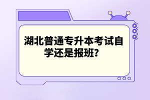 湖北普通專升本考試自學(xué)還是報班？