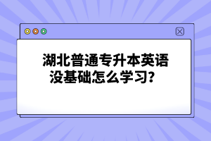 湖北普通專升本英語(yǔ)沒(méi)基礎(chǔ)怎么學(xué)習(xí)？