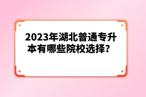 2023年湖北普通專升本有哪些院校選擇？