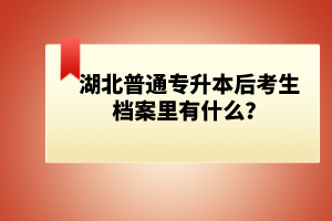 湖北普通專升本后考生檔案里有什么？