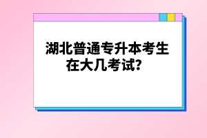 湖北普通專升本考生在大幾考試？