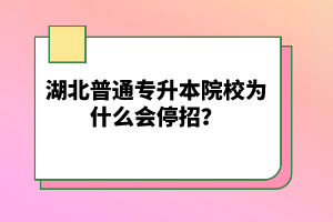 湖北普通專升本院校為什么會停招？