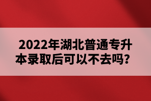 2022年湖北普通專升本錄取后可以不去嗎？