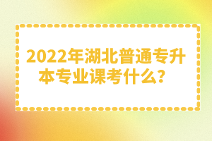 2022年湖北普通專升本專業(yè)課考什么？