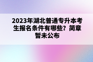 2023年湖北普通專升本考生報(bào)名條件有哪些？簡(jiǎn)章暫未公布