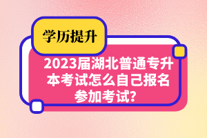 2023屆湖北普通專升本考試怎么自己報名參加考試？