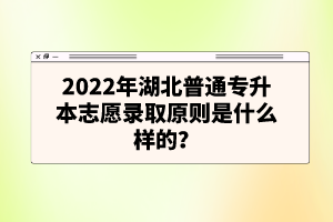 2022年湖北普通專(zhuān)升本志愿錄取原則是什么樣的？