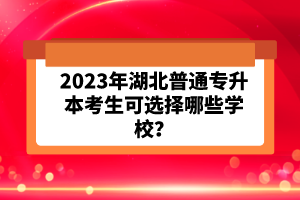 2023年湖北普通專(zhuān)升本考生可選擇哪些學(xué)校？