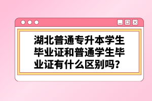 湖北普通專升本學(xué)生畢業(yè)證和普通學(xué)生畢業(yè)證有什么區(qū)別嗎？