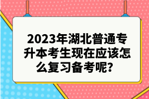 2023年湖北普通專升本考生現(xiàn)在應(yīng)該怎么復(fù)習(xí)備考呢？