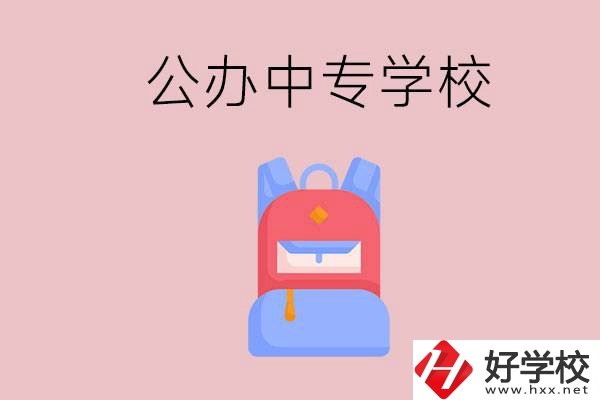 婁底有什么公辦中專學(xué)校？教學(xué)怎么樣？