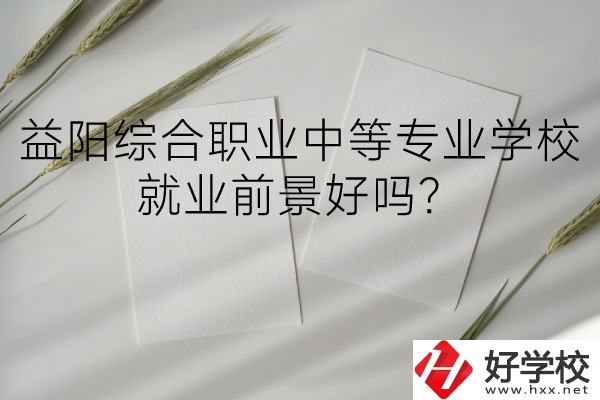 益陽綜合職業(yè)中等專業(yè)學校如何？就業(yè)前景好嗎？