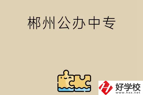 郴州公辦中專有哪些開(kāi)設(shè)了電子商務(wù)專業(yè)？