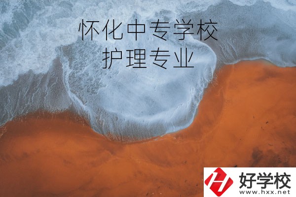 懷化有學(xué)護(hù)理專業(yè)的中專學(xué)校嗎？