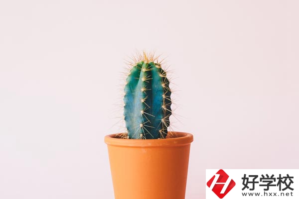 長(zhǎng)沙有哪些中職學(xué)?？梢詫W(xué)習(xí)幼師專業(yè)？