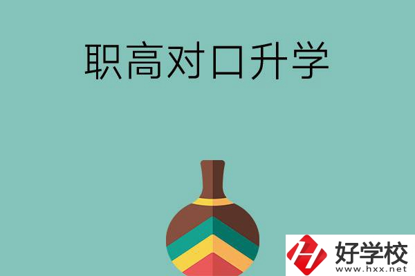 湖南職高對(duì)口升學(xué)可以考哪些大專？