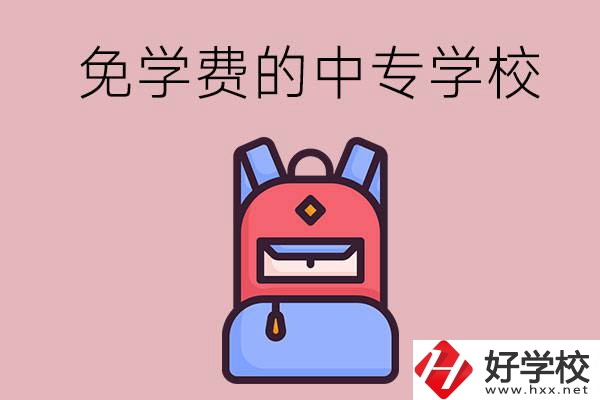 郴州市的中專哪些是免學(xué)費(fèi)的？