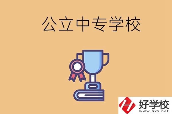 常德的公立中專學(xué)校有哪些？有什么特色？