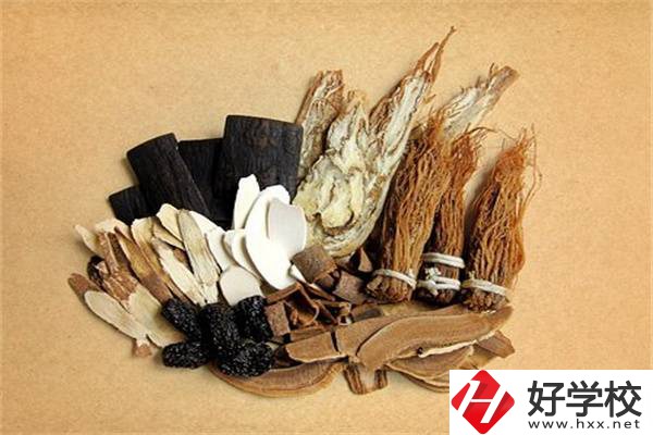 在湘西學(xué)中草藥栽培怎么樣？開設(shè)此專業(yè)的學(xué)校有哪些？