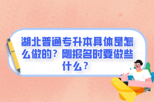 湖北普通專升本具體是怎么做的？剛報(bào)名時(shí)要做些什么？