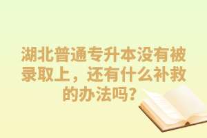 湖北普通專升本沒有被錄取上，還有什么補救的辦法嗎？