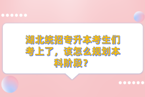 湖北統(tǒng)招專升本考生們考上了，該怎么規(guī)劃本科階段？