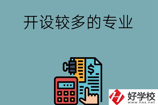 湖南的中職學(xué)校開設(shè)較多的專業(yè)是哪些？