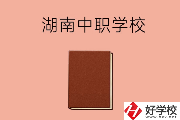 湖南有哪些就業(yè)率比較高的中職學(xué)校？