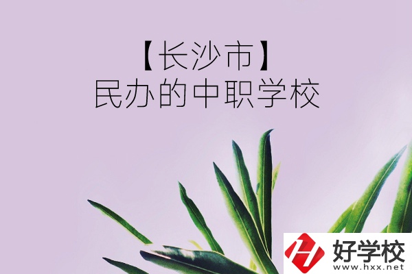 長(zhǎng)沙市有哪些民辦的中職學(xué)校？