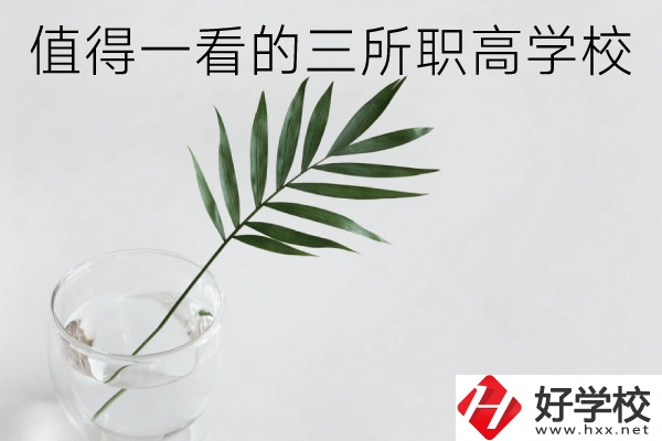 湖南有什么好的職高學(xué)校？這3所學(xué)校值得一看！