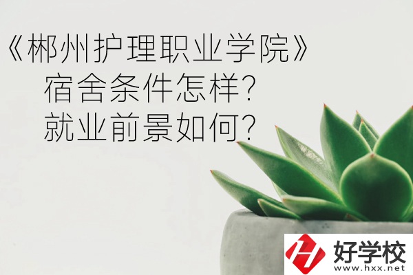 郴州護理職業(yè)學院宿舍條件怎樣？就業(yè)前景如何？